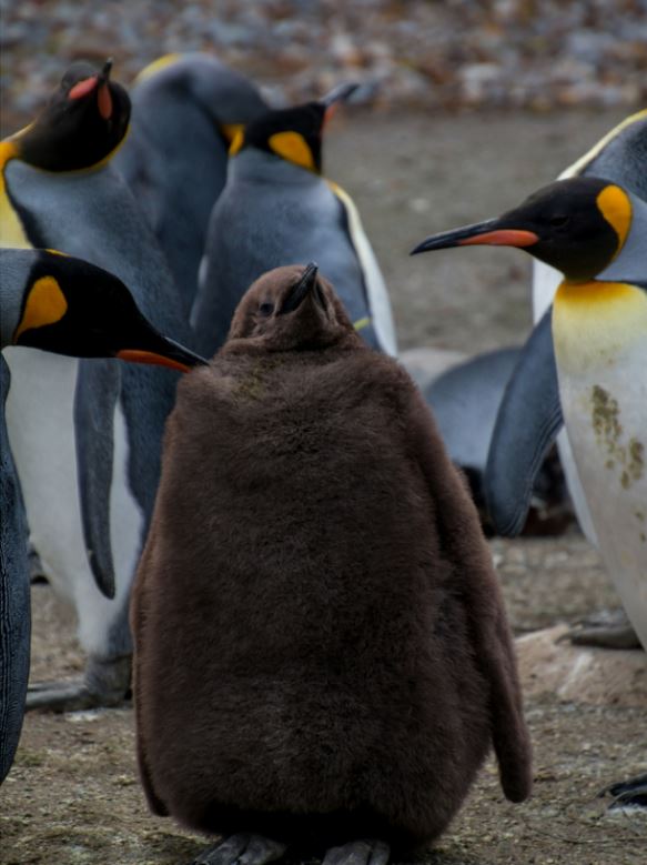 Hoe bouw je een uitstekende relatie op met ouders?